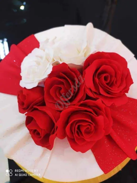 Gâteaux d'anniversaire كعكة عيد الميلاد والافراح