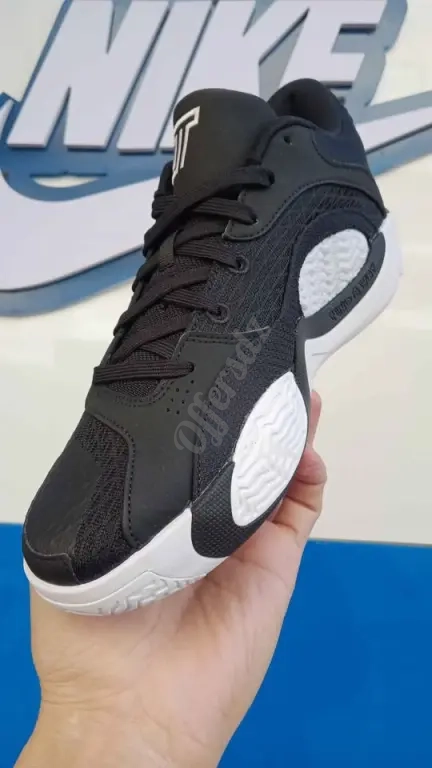 Basket Jordan Tatum 2 Pointure