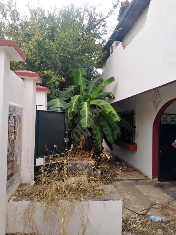 Location et vente villa fi kouba