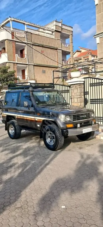 Toyota land cruiser court